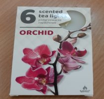 Illatos teamécses orchidea